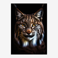Portrait frontal d'un lynx aux yeux jaune doré, fourrure tigrée brun et blanc, sur fond noir.