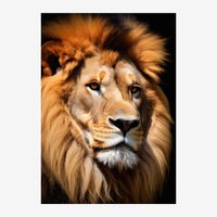 Portrait rapproché d'un lion aux yeux dorés avec une épaisse crinière blonde et marron, sur fond noir.