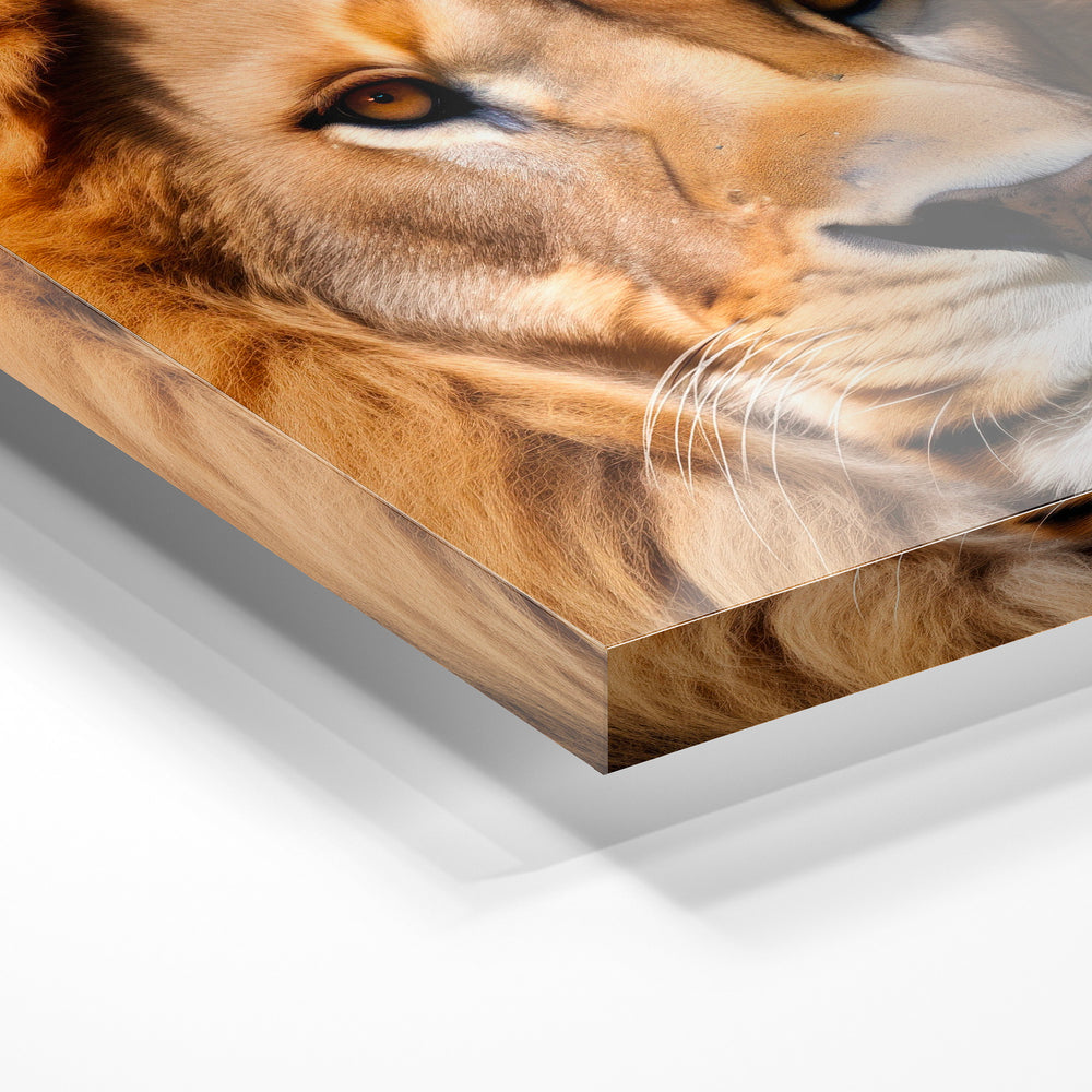 Gros plan de la matière : le tirage sous verre acrylique, tranche transparente visible.