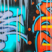 Graffiti Art Expressions-Canvas-artwall-Artwall