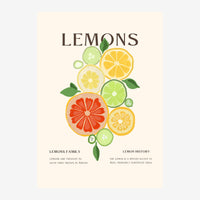 Affiche botanicale montrant une composition de tranches d'agrumes colorées (citron jaune, pamplemousse rose, citron vert).