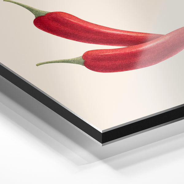 Piments rouges, illustration botanique minimaliste — Aluminium Dibond relief 3D
