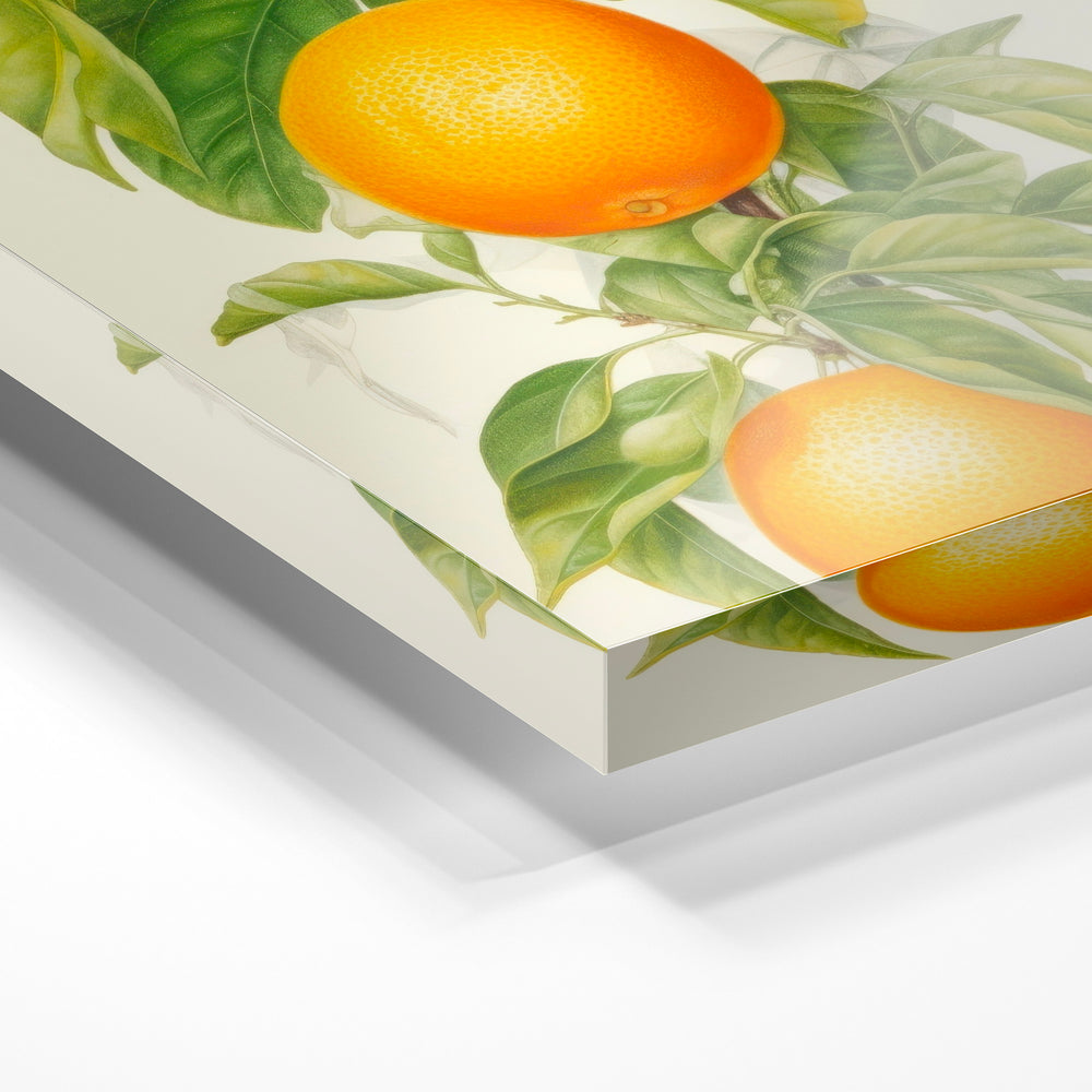 Gros plan de la matière : le tirage sous verre acrylique, tranche transparente visible.