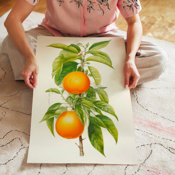 Branche d'oranger aux fruits orange et feuillage vert — Poster HP mat