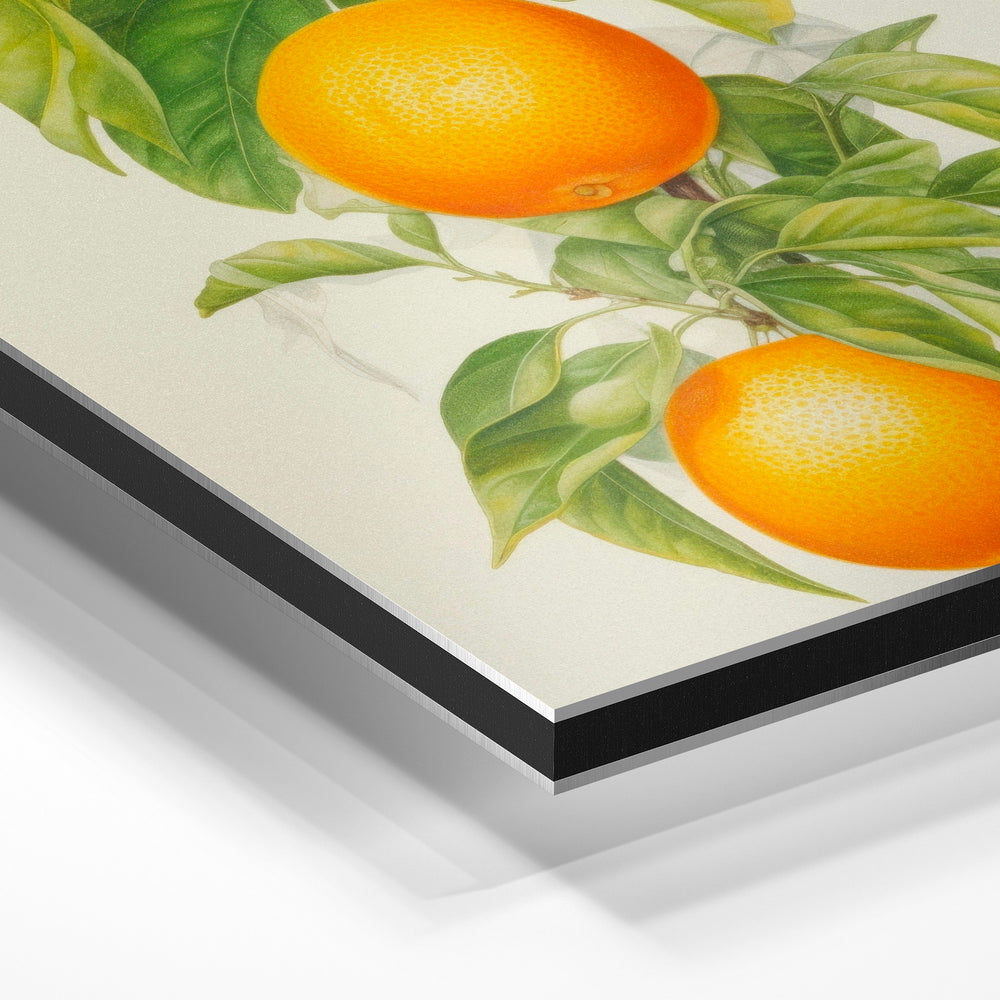 Gros plan de la matière : le tirage contrecollé sur aluminium Dibond mat, tranche visible.
