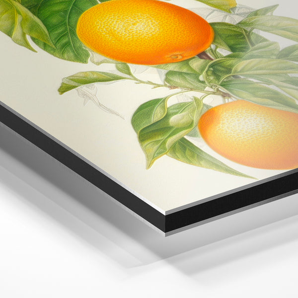 Branche d'oranger aux fruits orange et feuillage vert — Aluminium Dibond relief 3D