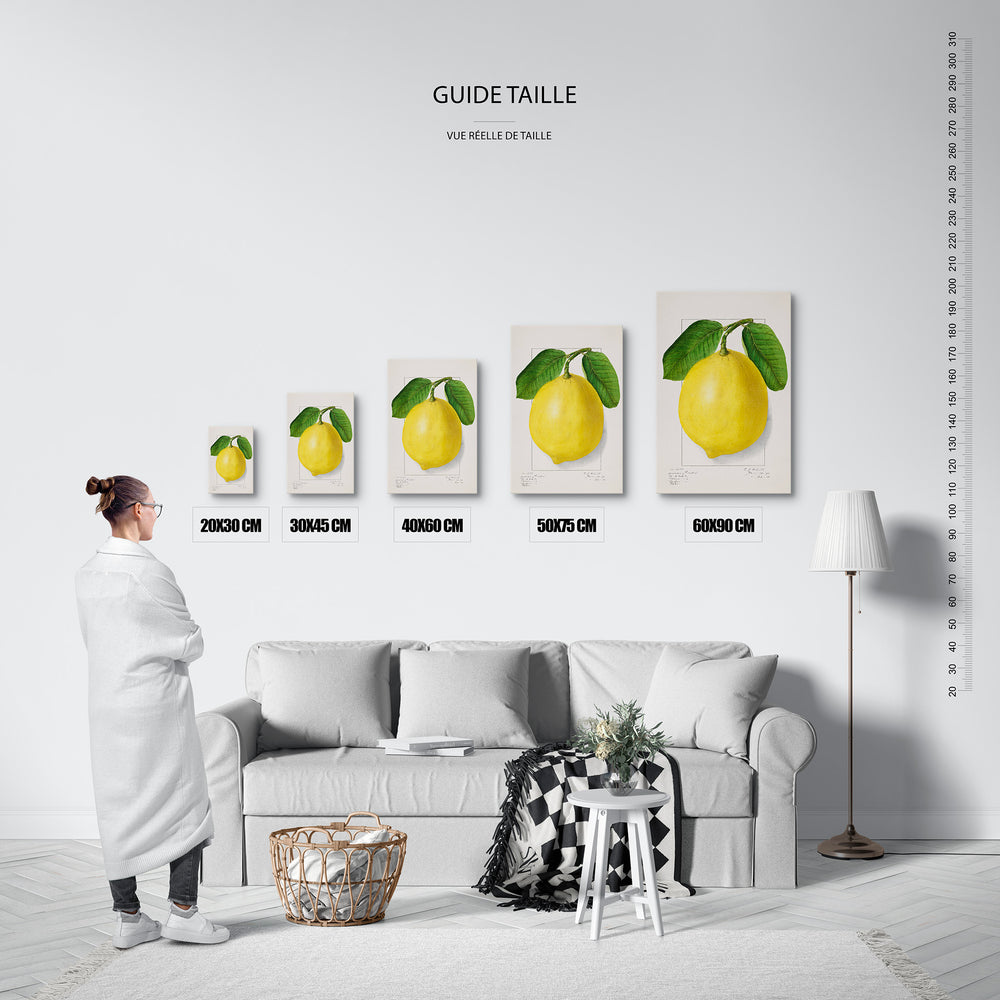 Le tableau, vue guide_taille.