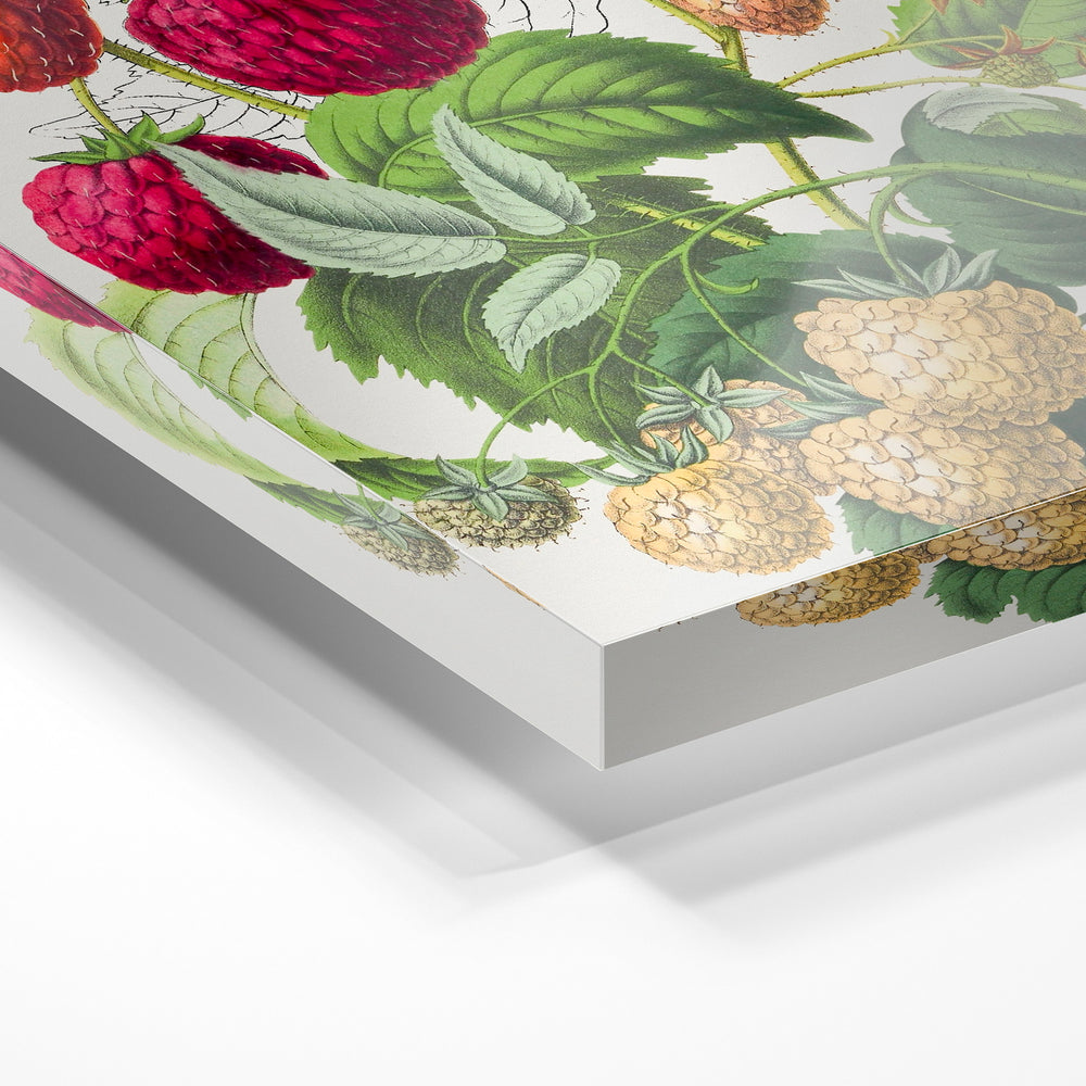 Gros plan de la matière : le tirage sous verre acrylique, tranche transparente visible.