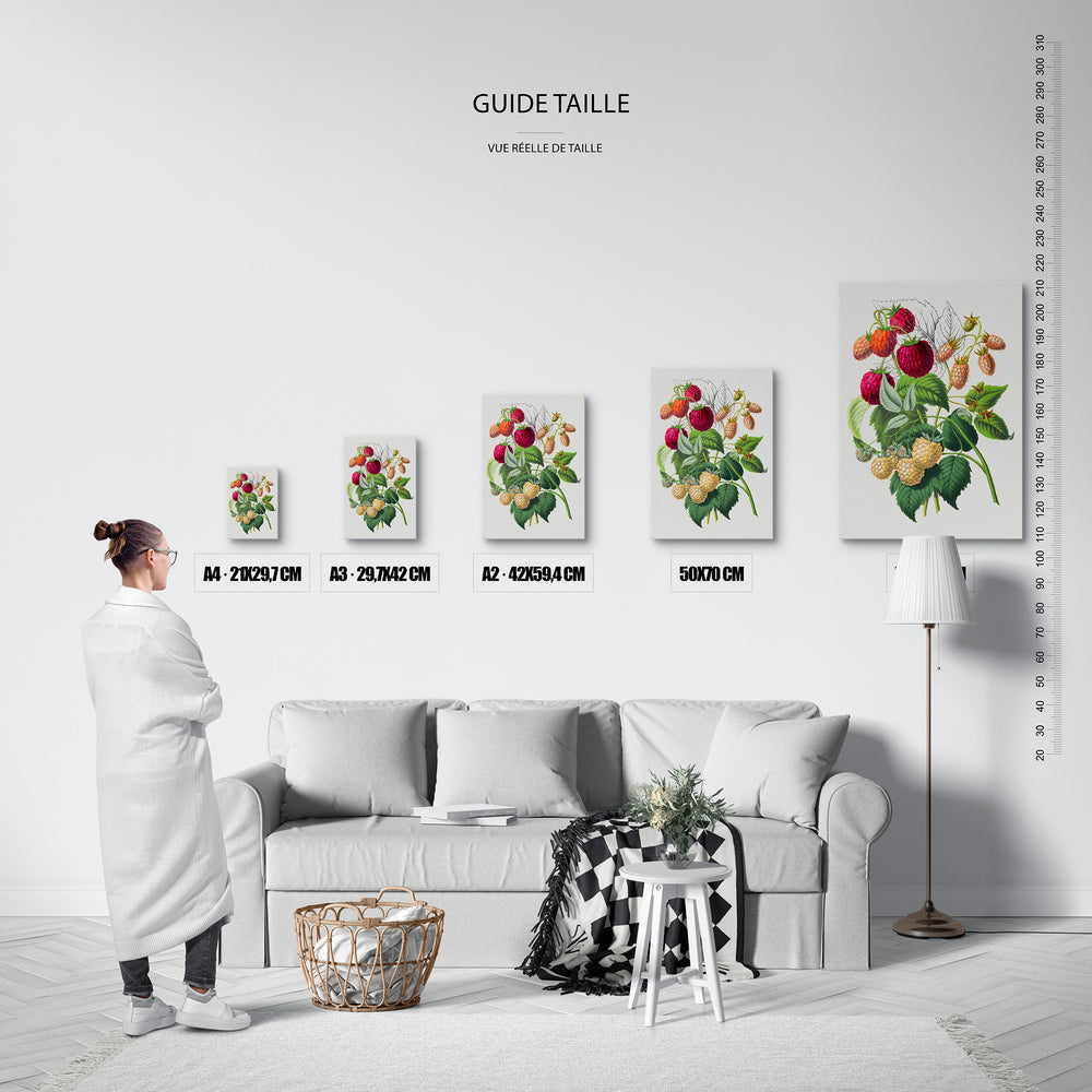 Le tableau, vue guide_taille.