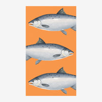 Trois saumons gris et blanc orientés horizontalement, empilés verticalement sur un fond orange.