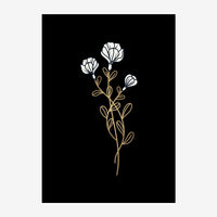 Trois fleurs blanches minimalistes avec tige et feuillage beige clair sur fond noir.