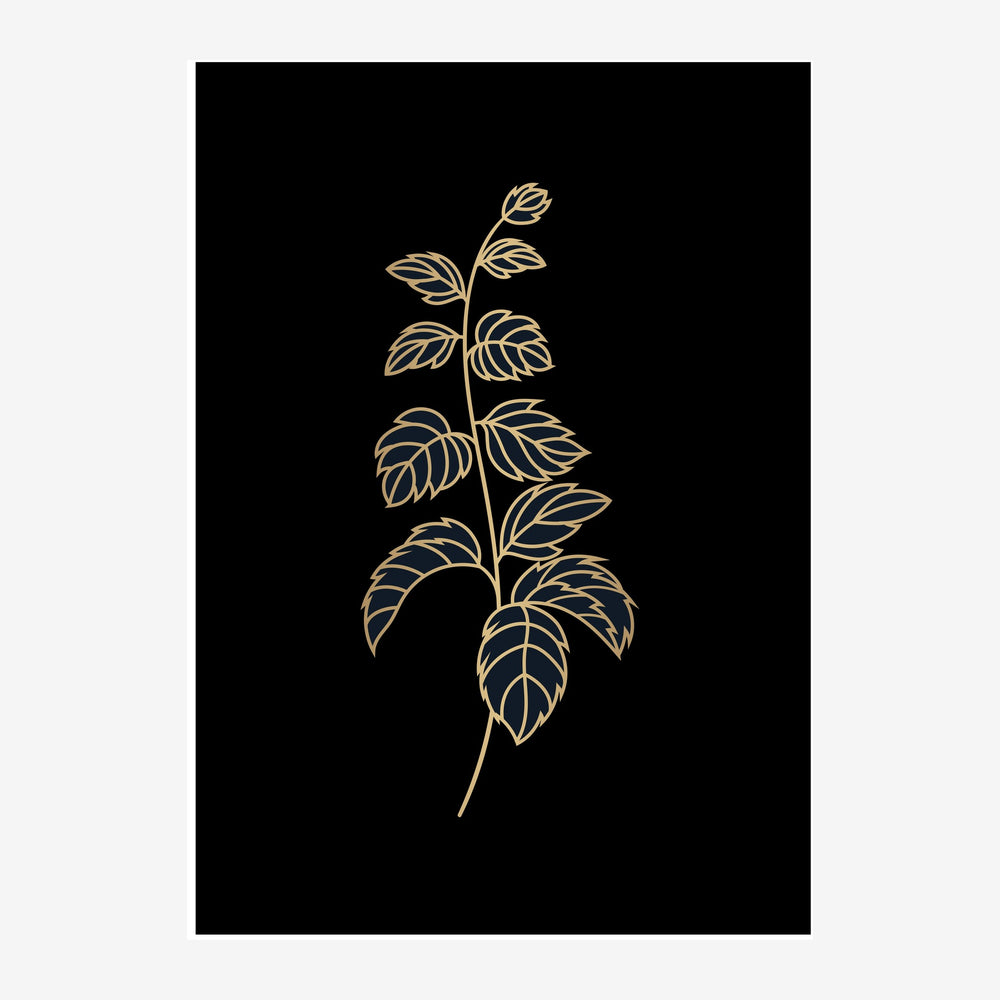 Dessin minimaliste d'une branche fine avec des feuilles détaillées, tracée en doré sur un fond noir uni.
