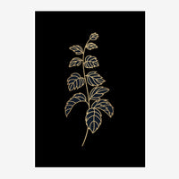 Dessin minimaliste d'une branche fine avec des feuilles détaillées, tracée en doré sur un fond noir uni.