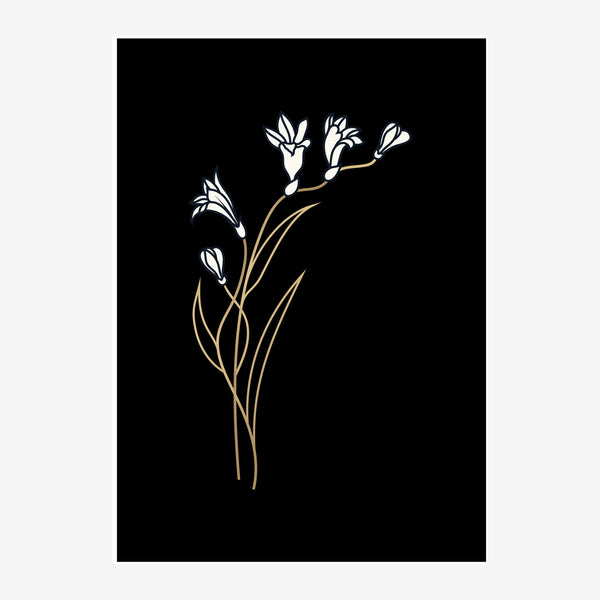 Branche fleurie avec trois petites fleurs blanches et dorées sur fond noir.
