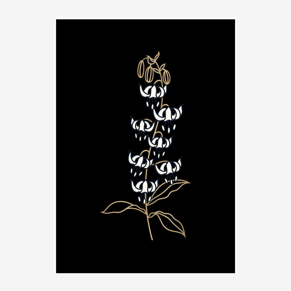 Illustration minimaliste d'une fleur tropicale aux pétals blancs et feuilles dorées sur fond noir.