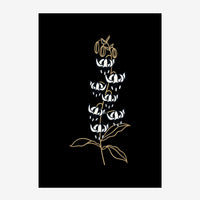 Illustration minimaliste d'une fleur tropicale aux pétals blancs et feuilles dorées sur fond noir.