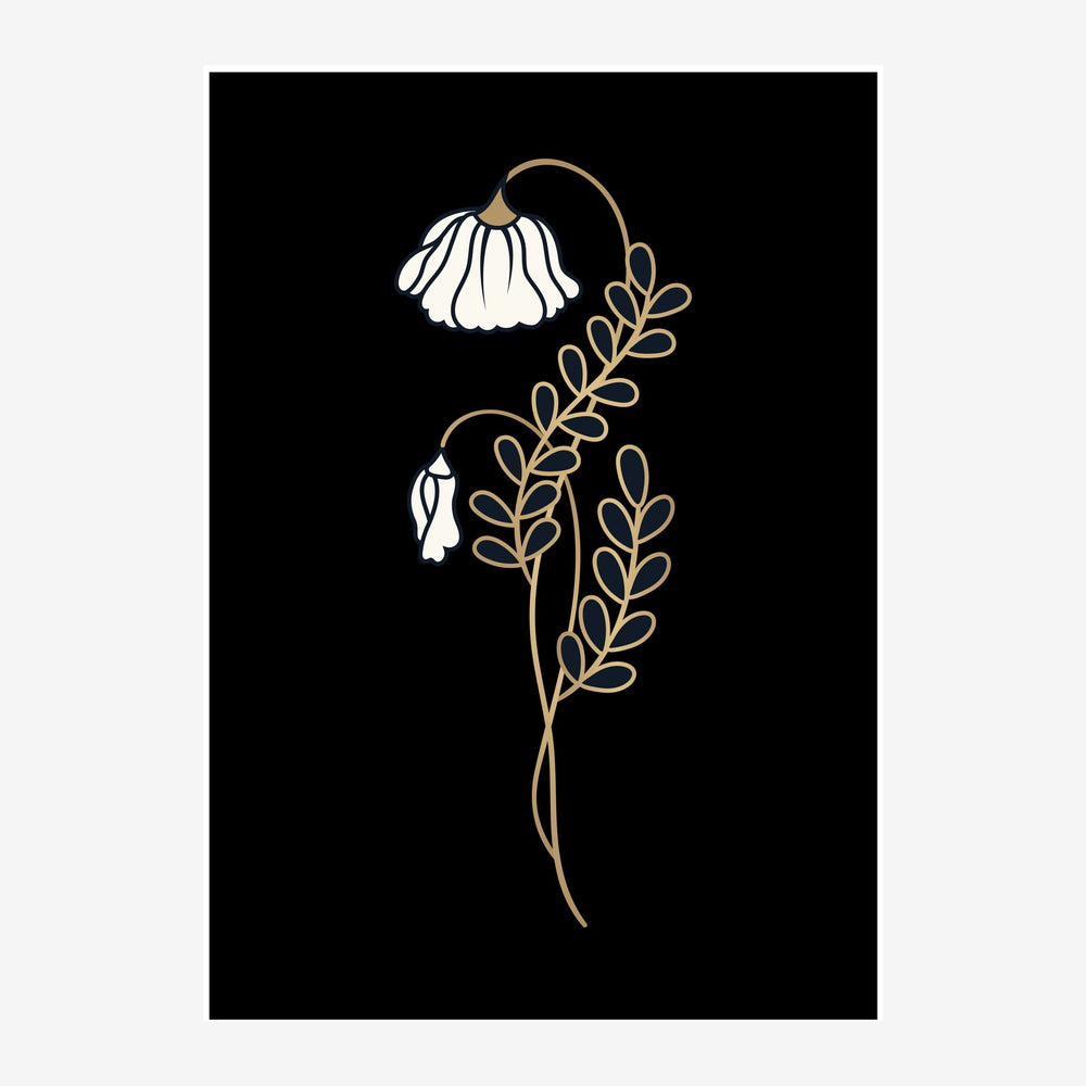 Deux fleurs blanches fanées suspendues à une tige ornementale dorée sur fond noir, dessinées au trait fin.