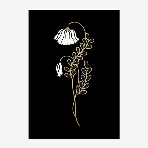 Deux fleurs blanches fanées suspendues à une tige ornementale dorée sur fond noir, dessinées au trait fin.