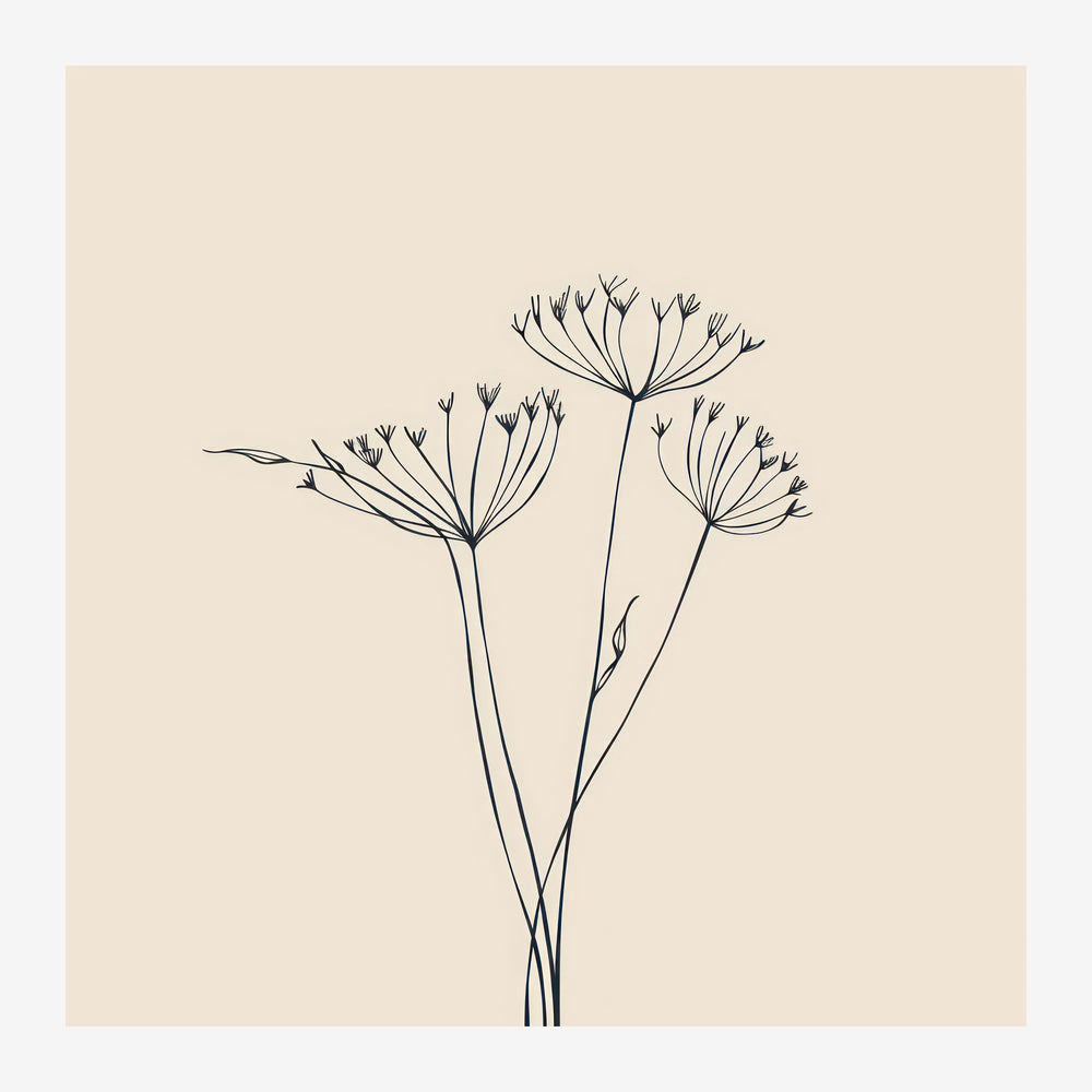 Trois fleurs aux ombelles délicates dessinées au trait noir sur fond beige clair, style line art minimaliste.