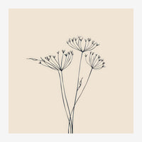 Trois fleurs aux ombelles délicates dessinées au trait noir sur fond beige clair, style line art minimaliste.