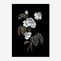 Dessin au trait de roses blanches avec tiges et feuilles dorées sur un fond noir.