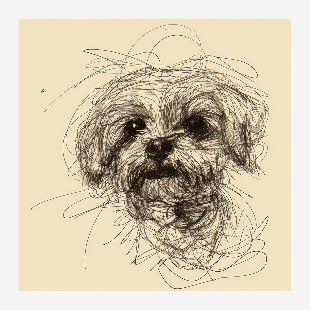 Portrait d'un chien aux traits noirs entrecroisés sur fond beige, dans un style minimaliste de dessin au trait.