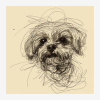 Portrait d'un chien aux traits noirs entrecroisés sur fond beige, dans un style minimaliste de dessin au trait.