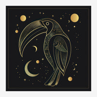 Illustration minimaliste montrant deux oiseaux stylisés en trait fin, entourés de lunes et d'étoiles dorées sur fond noir.