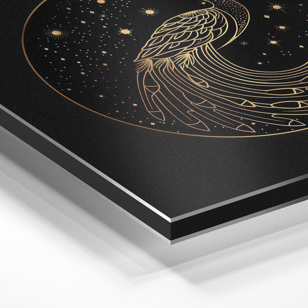 Paon étoilé line art, noir et or minimaliste — Aluminium Dibond