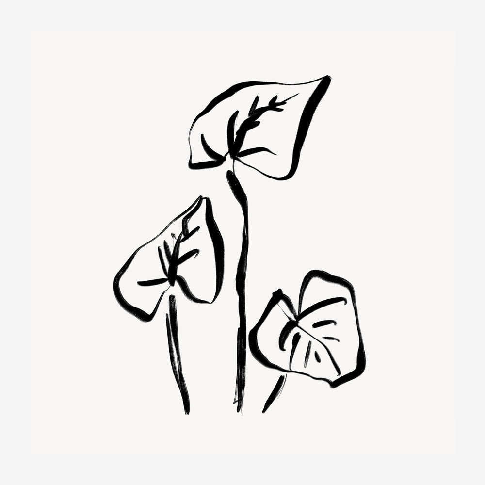 Trois feuilles linéaires tracées en noir sur fond beige clair, style line art épuré.