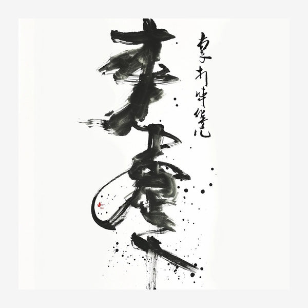 Composition zen en noir et blanc, oiseaux et calligraphie — Toile sur châssis