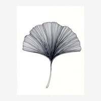Feuille de ginkgo dessinée en trait fin noir et blanc, avec des nervures rayonnantes, sur fond blanc.