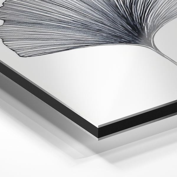 Ginkgo - Line art botanique noir et blanc — Aluminium Dibond relief 3D