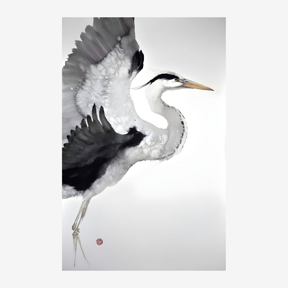 Un héron gris et blanc avec les ailes partiellement déployées, orienté vers la droite, sur fond blanc.