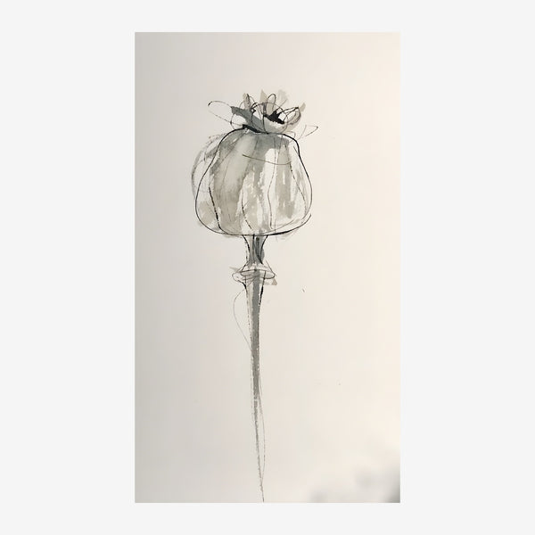Tête de pavot en line art, beige et gris — Toile sur châssis