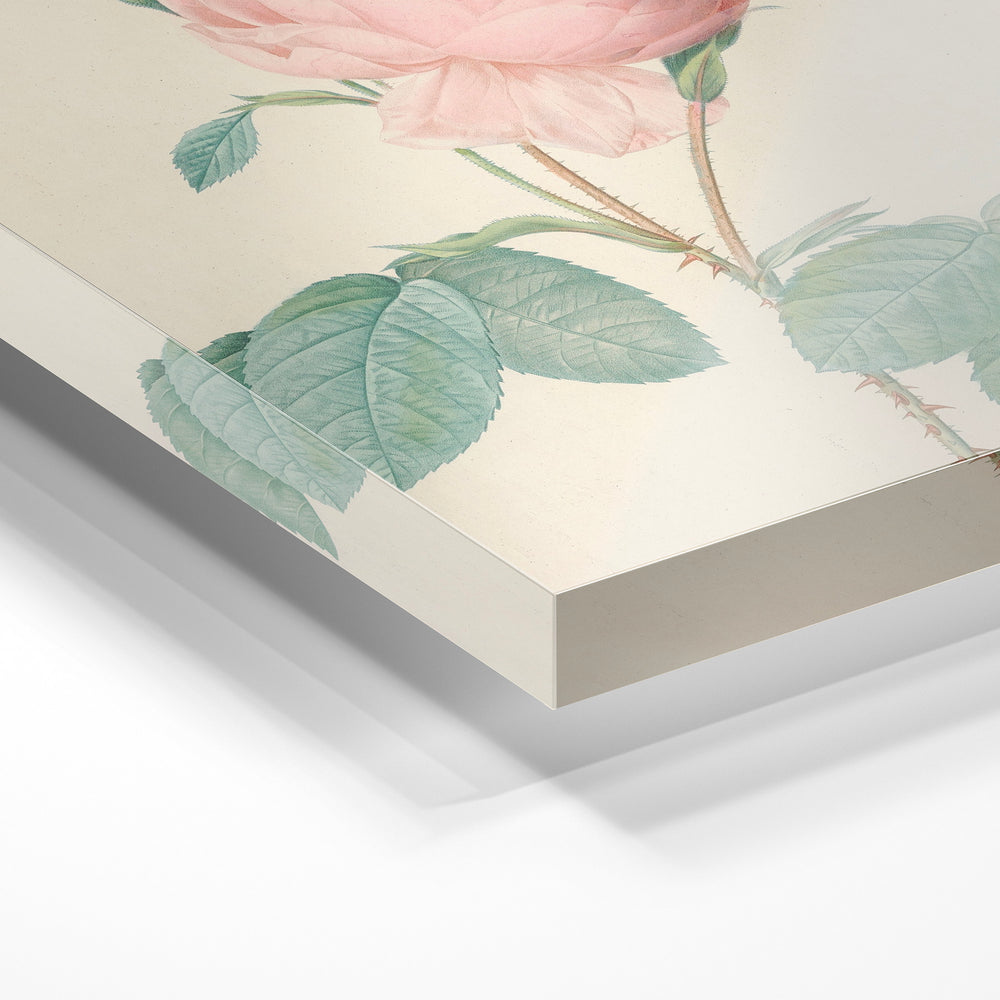 Gros plan de la matière : le tirage sous verre acrylique, tranche transparente visible.