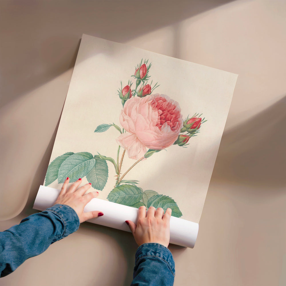 L'impression présentée en poster, sans encadrement, sur un mur neutre.