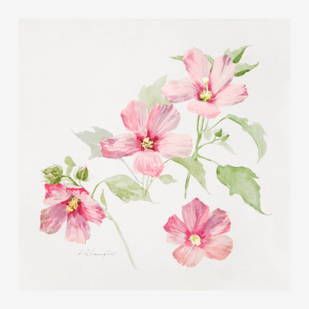 Composition de fleurs roses et blanches avec feuillage vert, style peinture botanique sur fond beige clair.