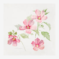 Composition de fleurs roses et blanches avec feuillage vert, style peinture botanique sur fond beige clair.