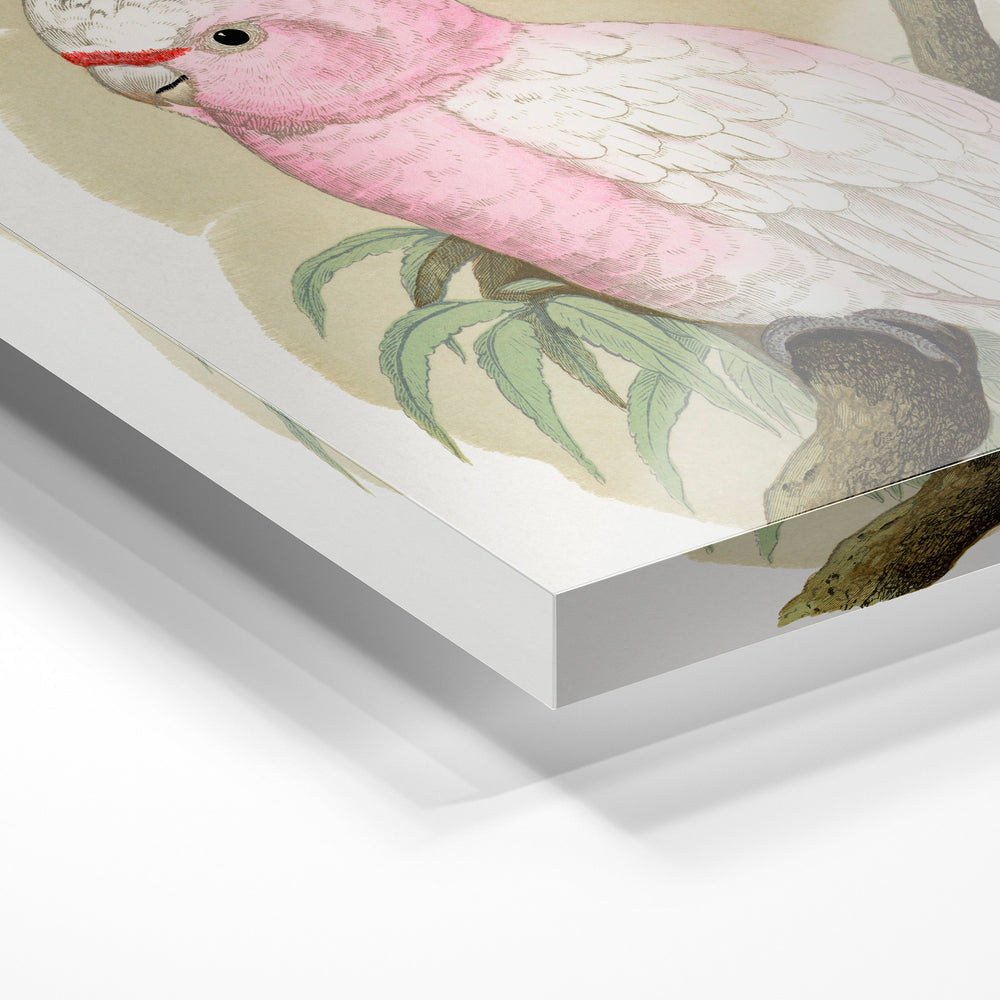 Gros plan de la matière : le tirage sous verre acrylique, tranche transparente visible.
