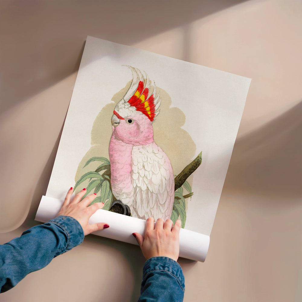L'impression présentée en poster, sans encadrement, sur un mur neutre.