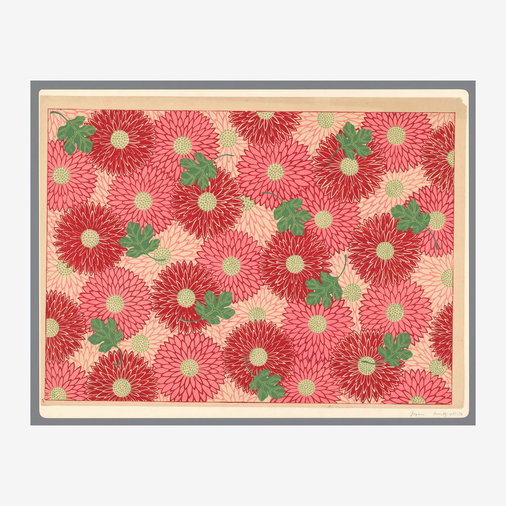 Motif répété de gerberacées rouges et roses avec cœurs jaunes et feuillage vert sur fond crème, dans un style botanique.
