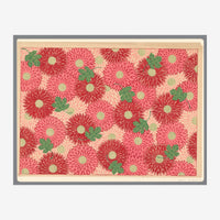 Motif répété de gerberacées rouges et roses avec cœurs jaunes et feuillage vert sur fond crème, dans un style botanique.