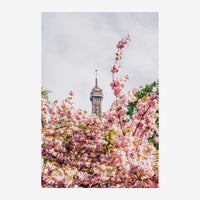 Une composition florale rose et blanche en premier plan avec une tour de fer en arrière-plan sur un ciel gris nuageux.