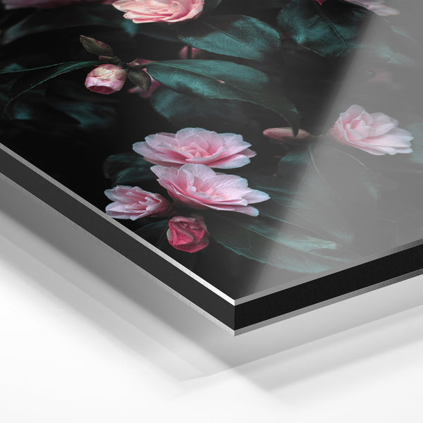 Roses roses et noires, tableau botanique — Aluminium Dibond relief 3D