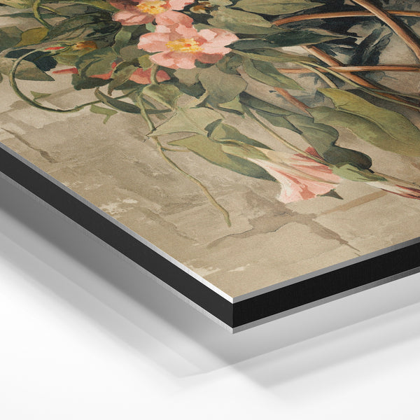Fleurs rose et terracotta dans un vase suspendu — Aluminium Dibond