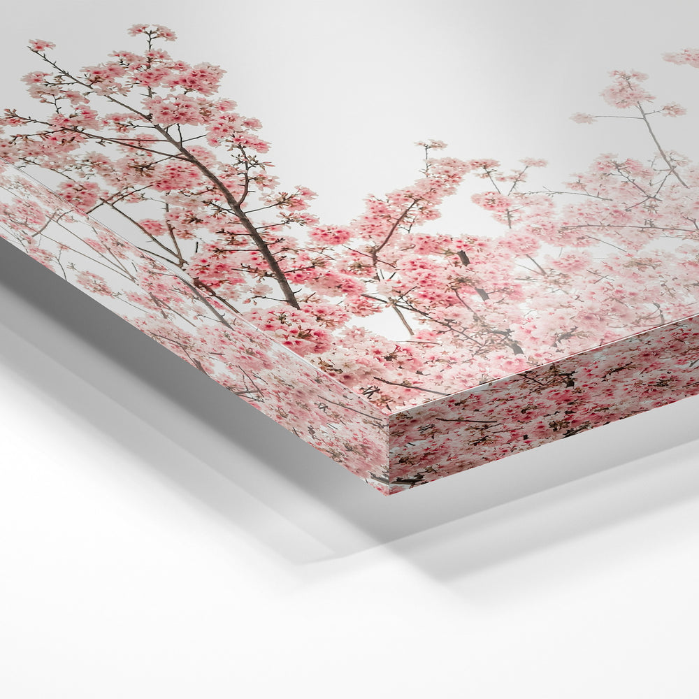 Gros plan de la matière : le tirage sous verre acrylique, tranche transparente visible.