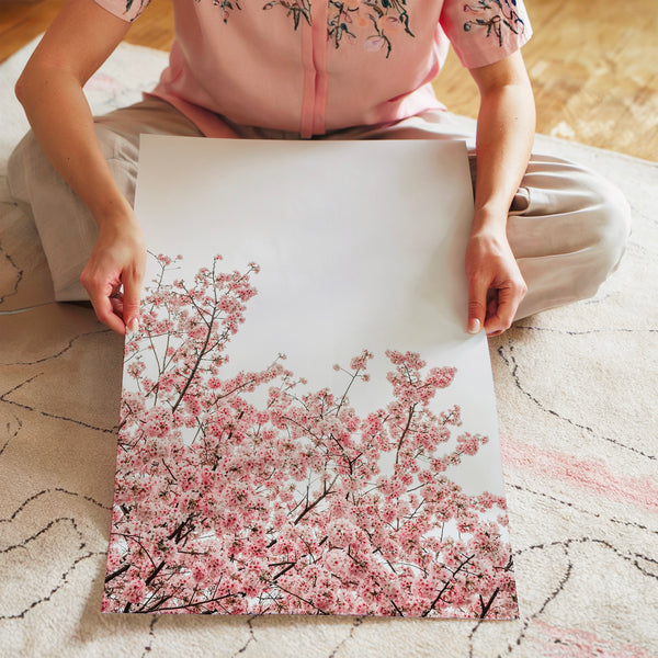 Fleurs de cerisier rose et blanc minimaliste — Poster HP mat