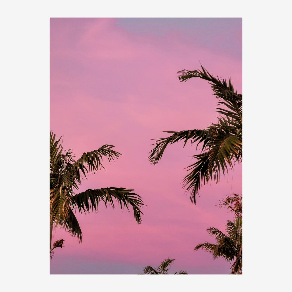 Silhouettes de palmiers se dressant contre un ciel rose et violet dégradé.