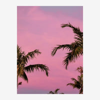 Silhouettes de palmiers se dressant contre un ciel rose et violet dégradé.